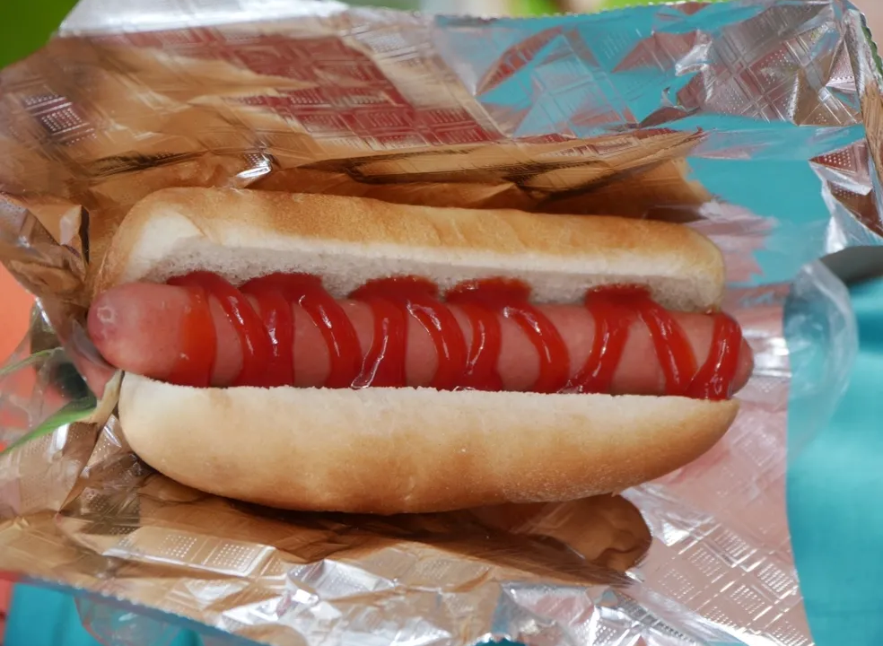 Hot dog with ketchup